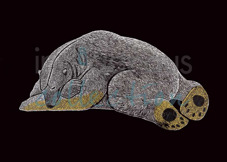Sated Bear by artist Tim Pitsiulak