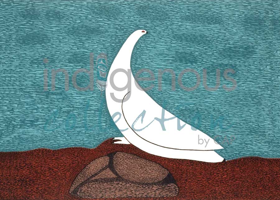 Aqigirq (Rock Ptarmigan) by artist Ohotaq Mikkigak