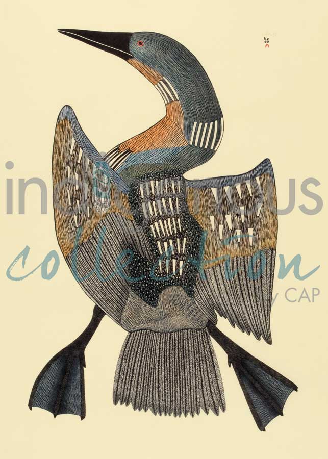 Tuulirjuaq (Great Big Loon) by artist Mayoreak Ashoona
