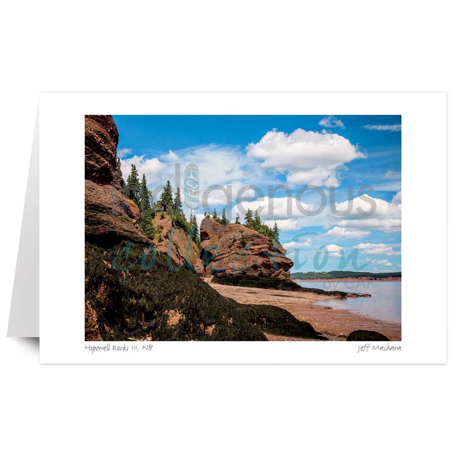 Hopewell Rocks III, NB by artist Jeff Maihara