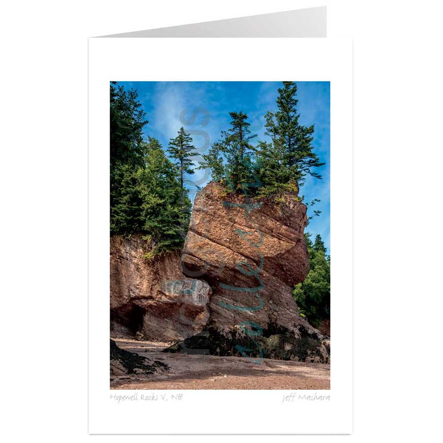Hopewell Rocks V, NB by artist Jeff Maihara