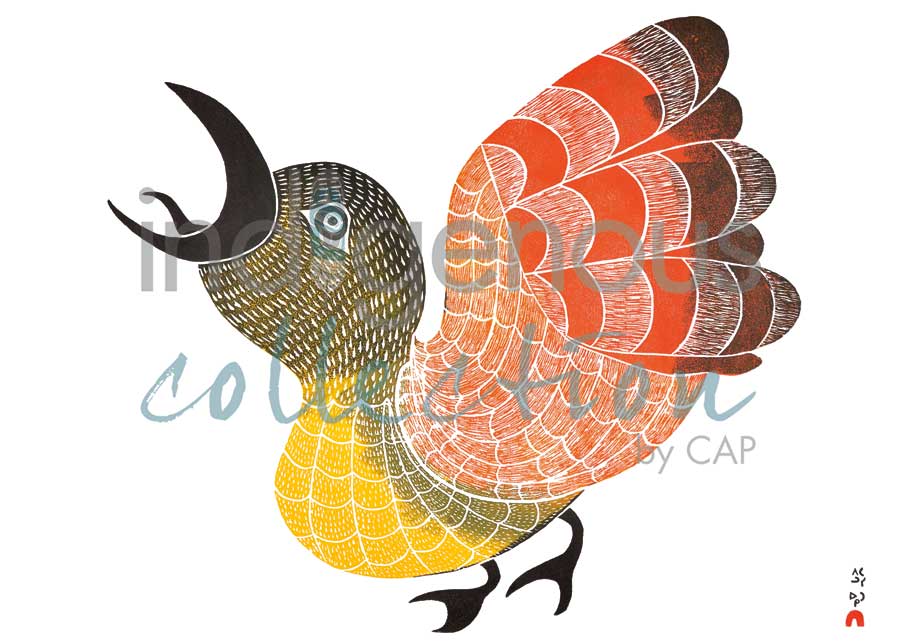 Bird of Sargo by artist Pitaloosie Saila
