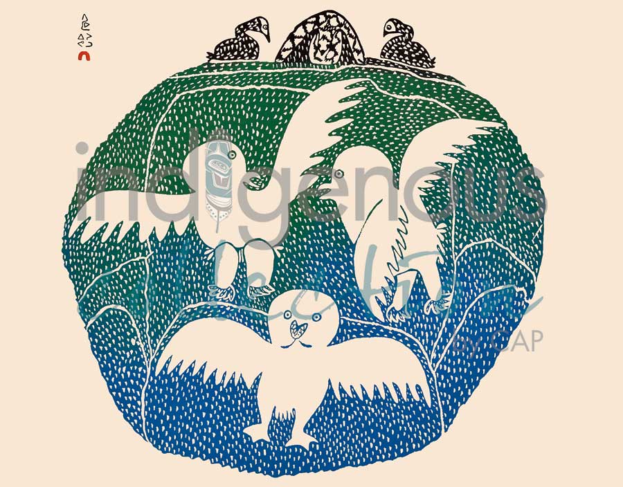 Owls in Spring Snow by artist Pitseolak Ashoona