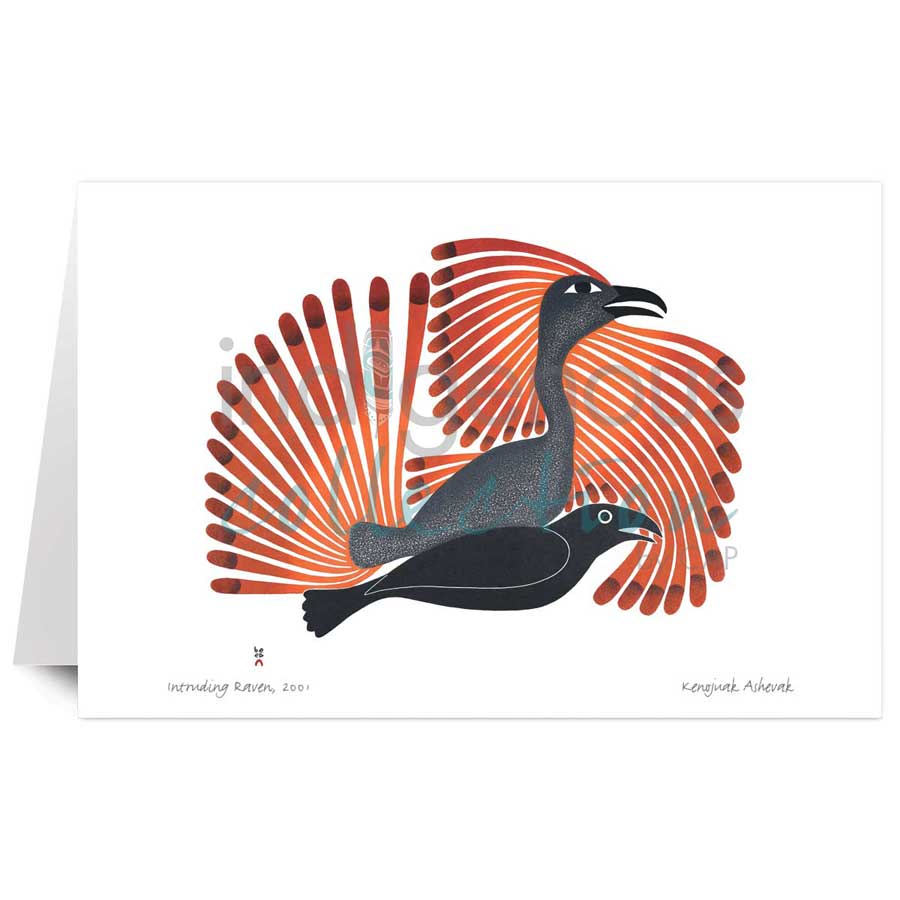 Intruding Raven by artist Kenojuak Ashevak
