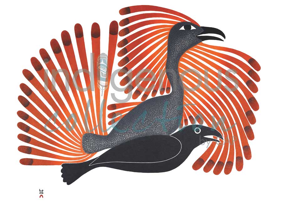 Intruding Raven by artist Kenojuak Ashevak