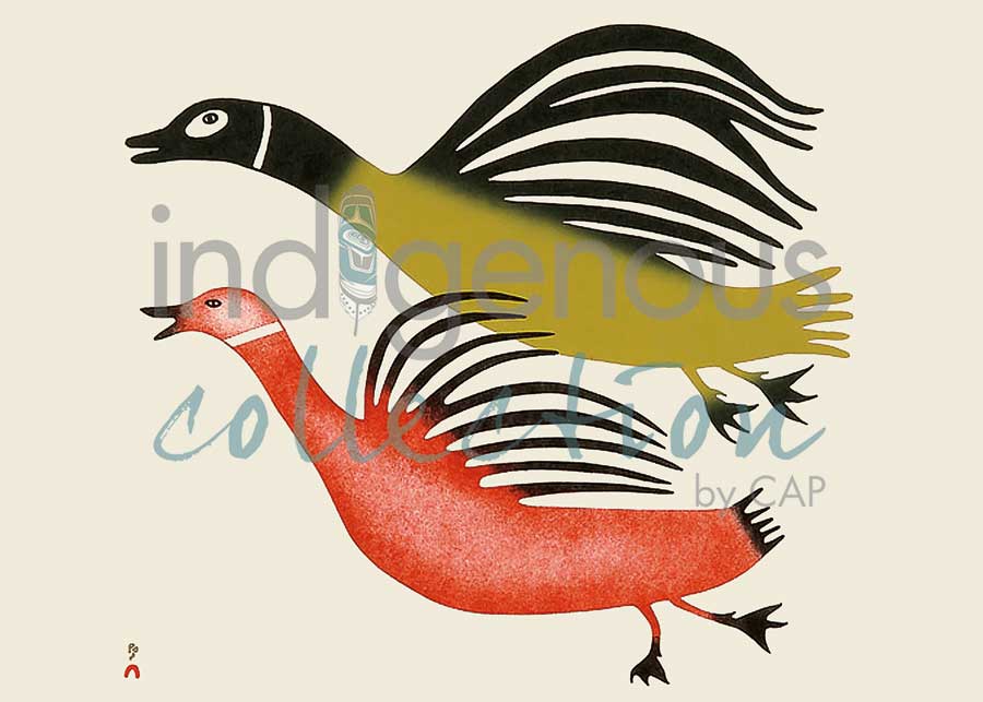Startled Loons by artist Pauta Saila