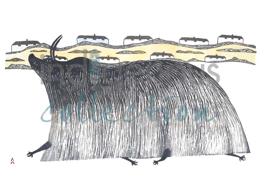 Muskox on Sea Ice by artist Pudlo Pudlat