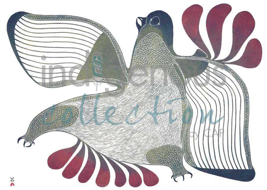The Owl's Spring Dance by artist Pitaloosie Saila