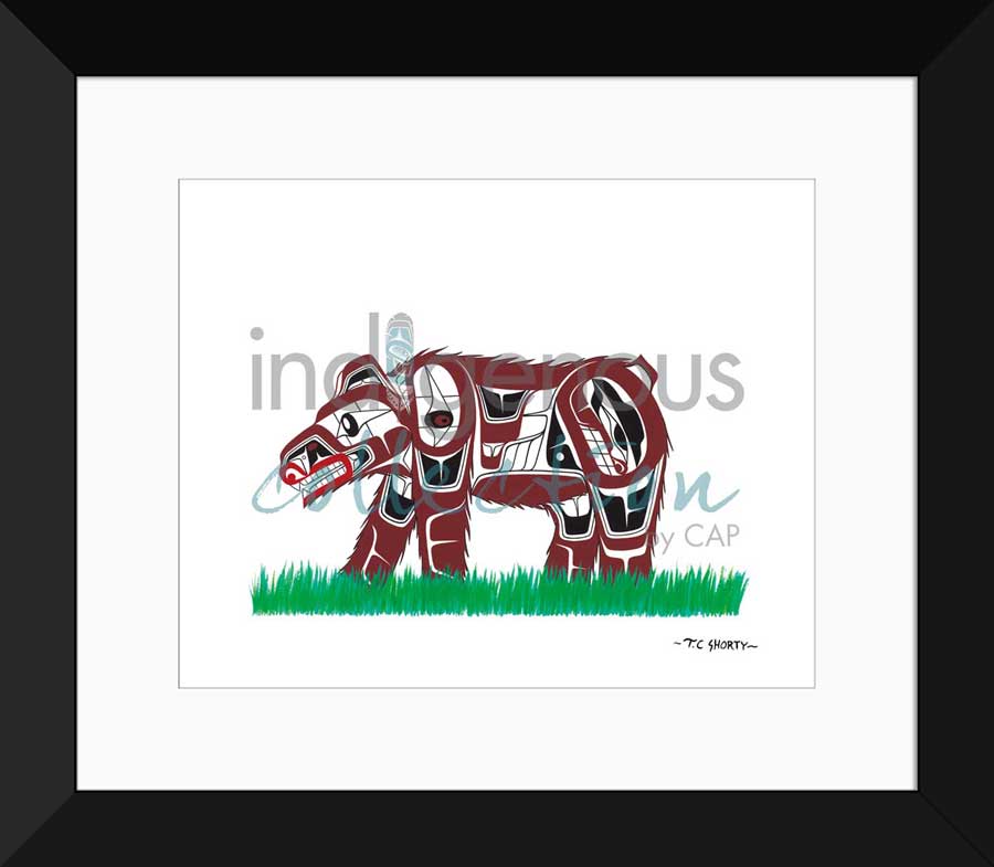 Great Bear Limited Edition. Indigenous Collection
