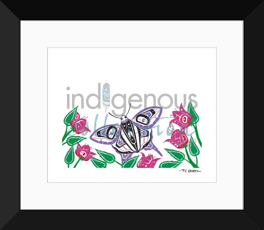 New Life Limited Edition. Indigenous Collection