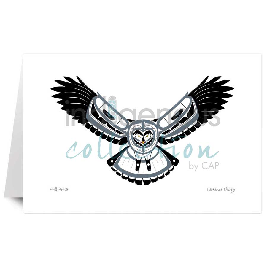 Full Power by artist Terrance Shorty