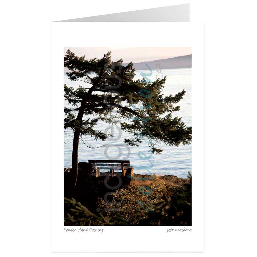 Pender Island Evening by artist Jeff Maihara