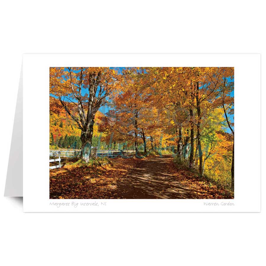 Margaree Big Intervale, NS by artist Warren Gordon