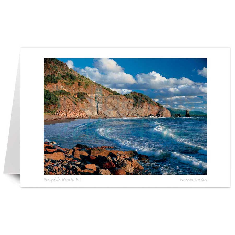 Presqu'ile Beach, NS by artist Warren Gordon