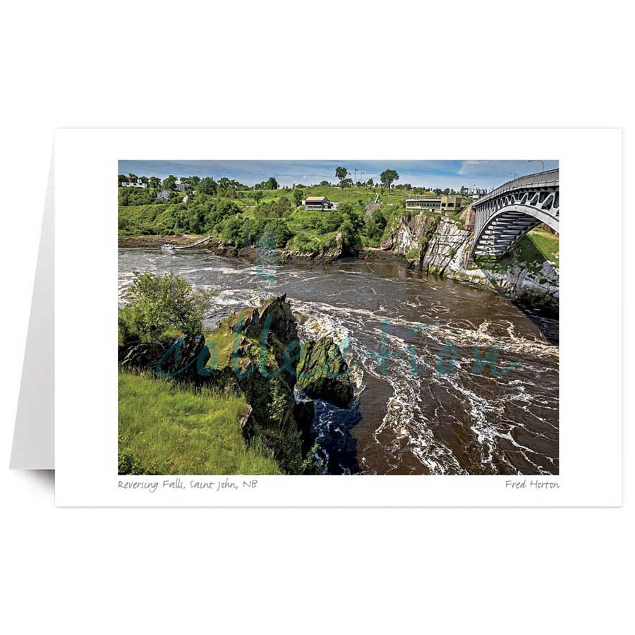 Reversing Falls, St. John, NB by artist Fred Horton