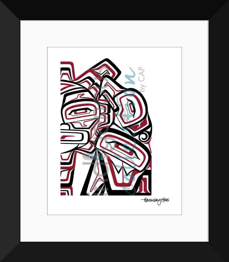 Raven and the Sun Limited Edition. Indigenous Collection