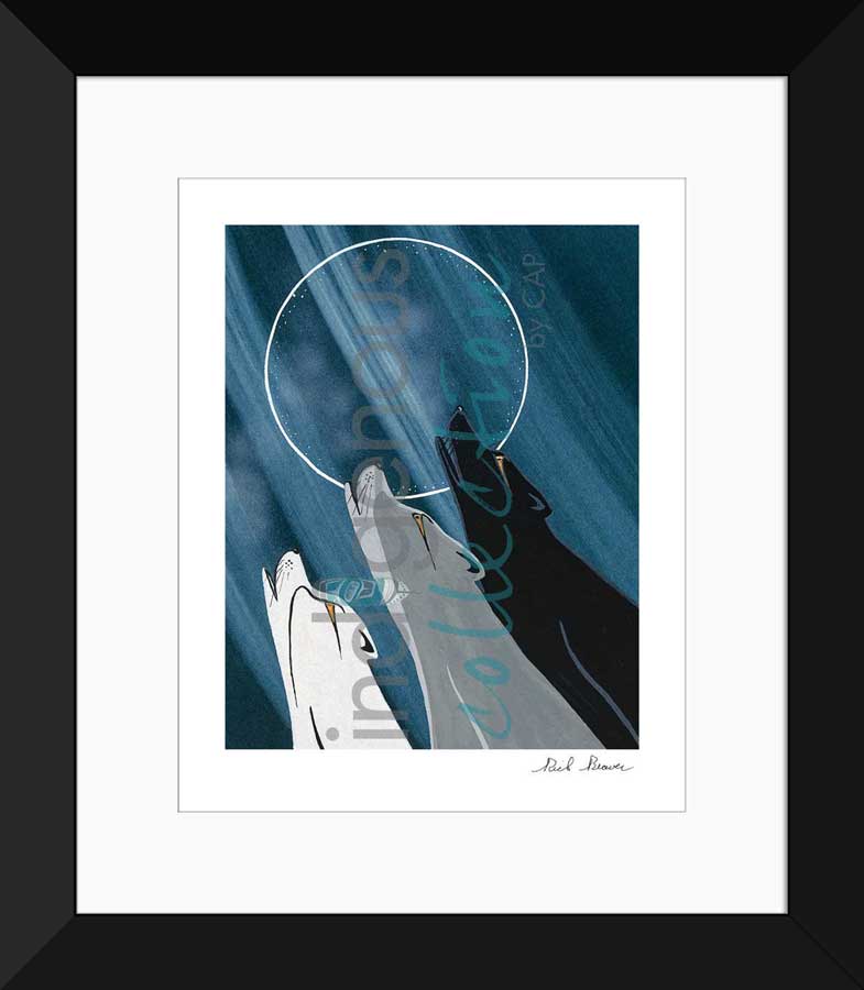 Pack Song Limited Edition. Indigenous Collection