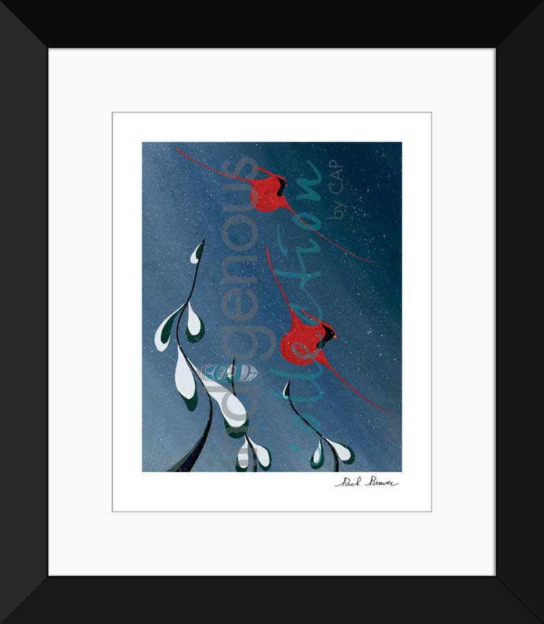 Cardinal Drift Limited Edition. Indigenous Collection