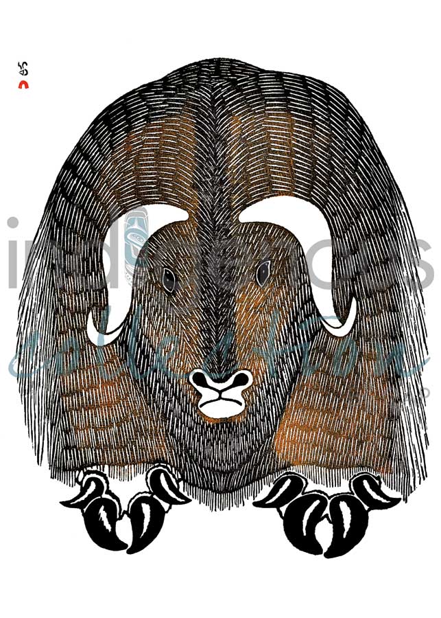 Omingmungjuaq (Humongous Musk Ox) by artist Kananginak Pootoogook