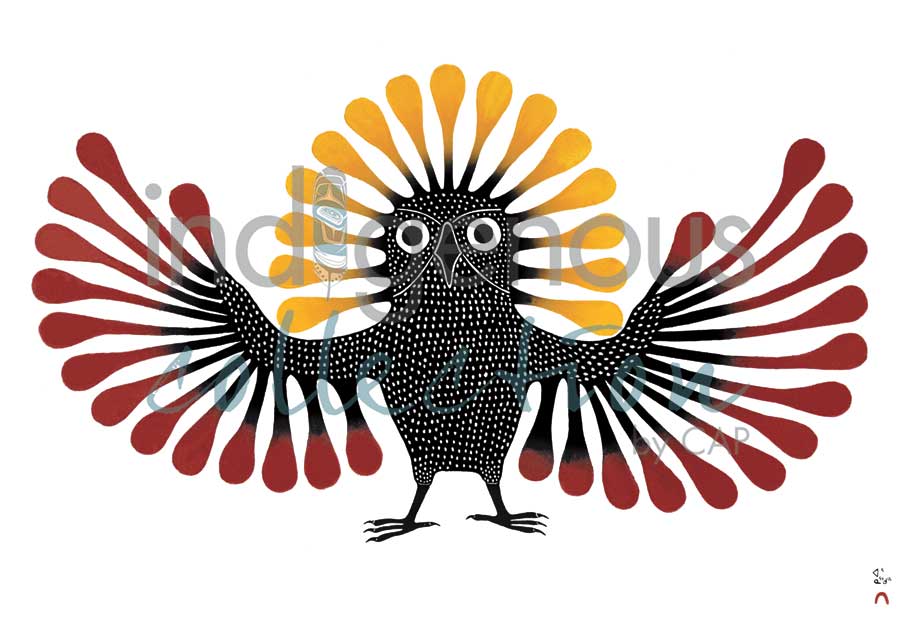 Preening Owl by artist Kenojuak Ashevak