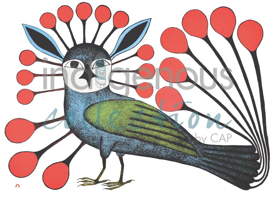 Vigilant Owl by artist Kenojuak Ashevak