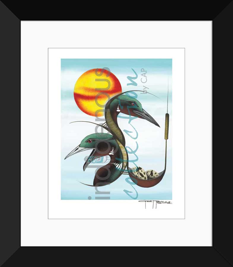 Nesting Loons Limited Edition. Indigenous Collection