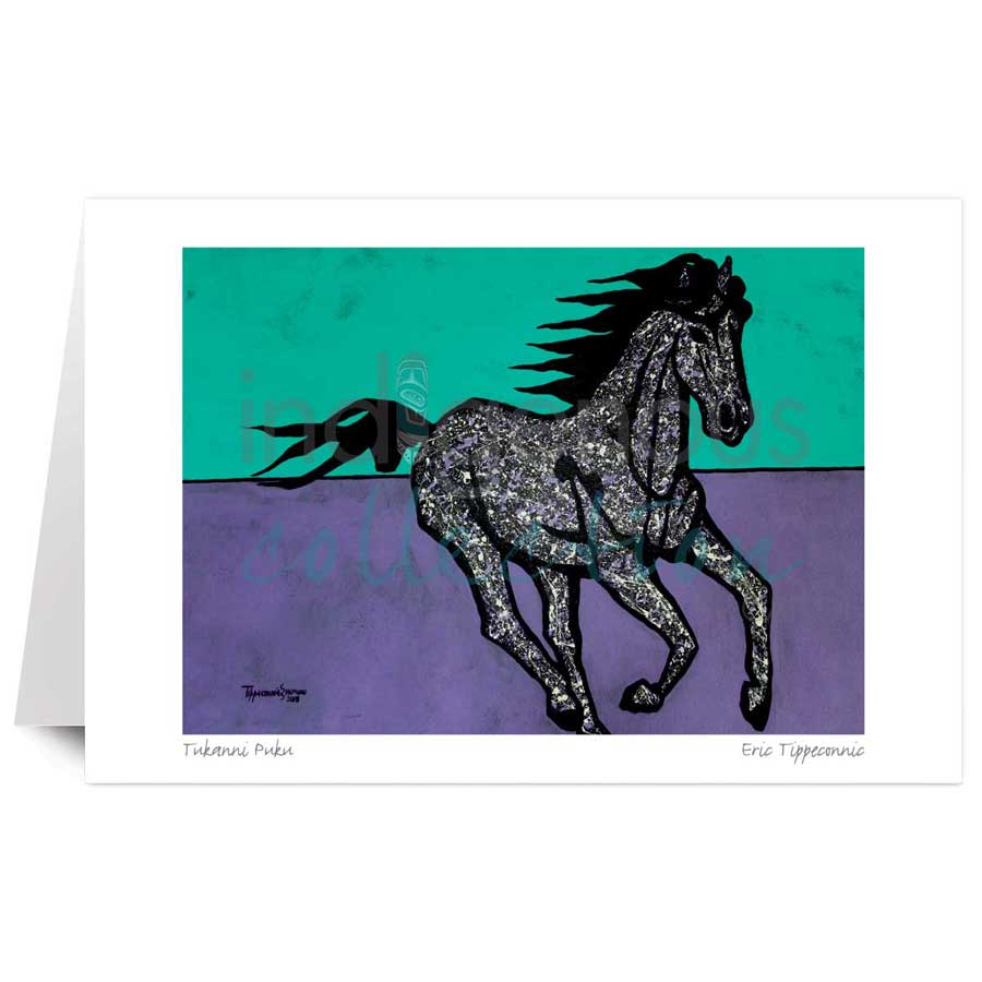 Tukanni Puku by artist Eric Tippeconnic