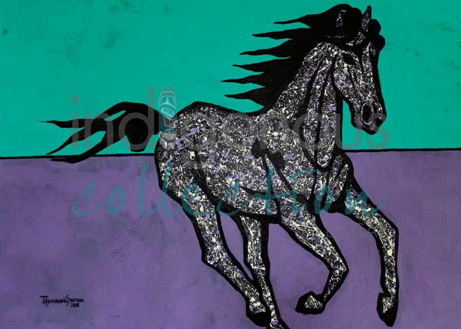 Tukanni Puku by artist Eric Tippeconnic