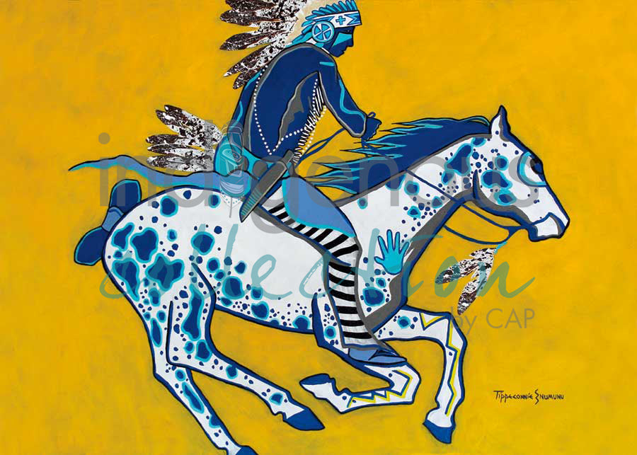 He Is Not Afraid by artist Eric Tippeconnic