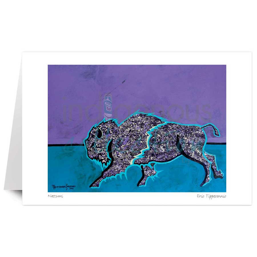 Natsuwi by artist Eric Tippeconnic