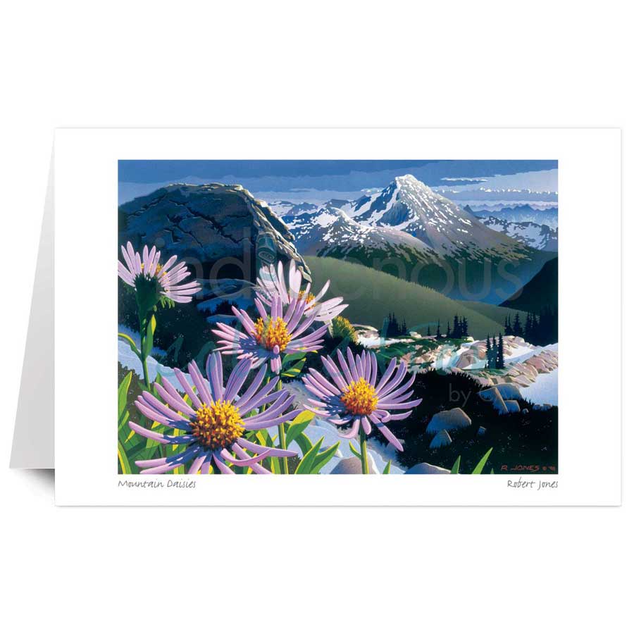 Mountain Daisies by artist Robert Jones