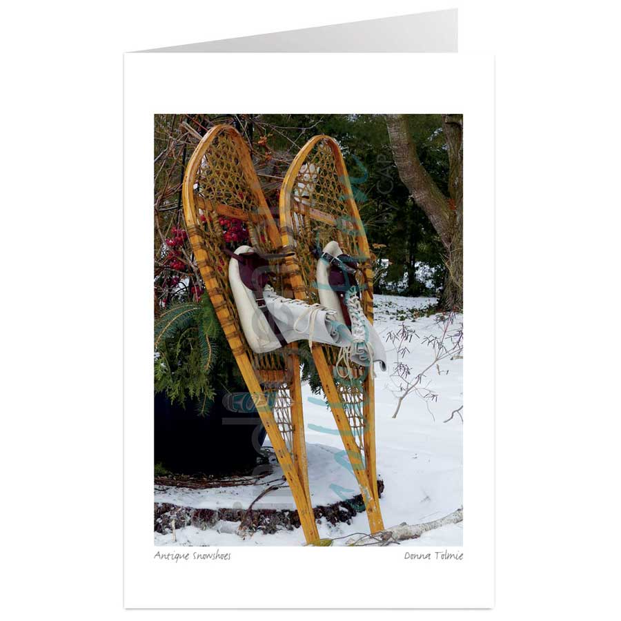  Antique snowshoes by artist Donna Tolmie