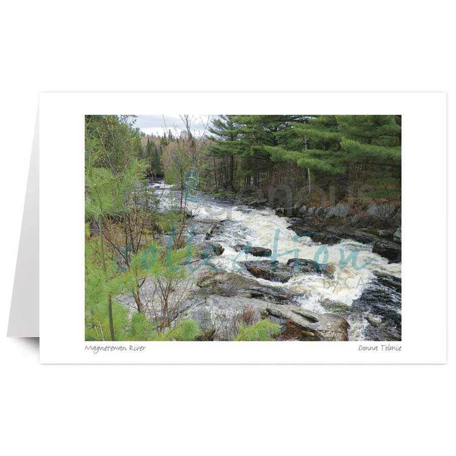 Magnetewan River by artist Donna Tolmie