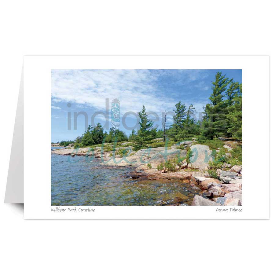 Killbear Park Coastline by artist Donna Tolmie