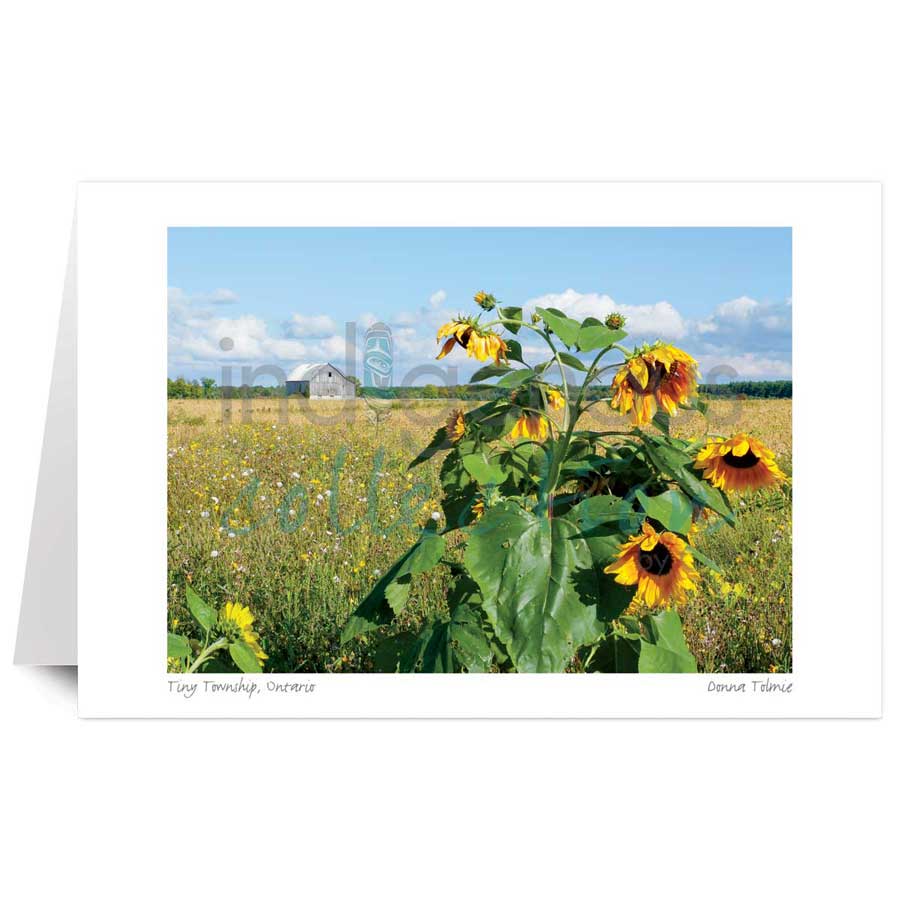 Tiny Township, Ontario by artist Donna Tolmie