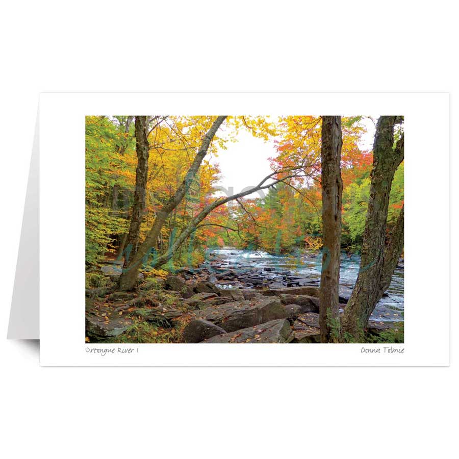 Oxtongue River 1 by artist Donna Tolmie