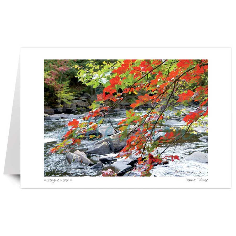 Oxtongue River 2 by artist Donna Tolmie