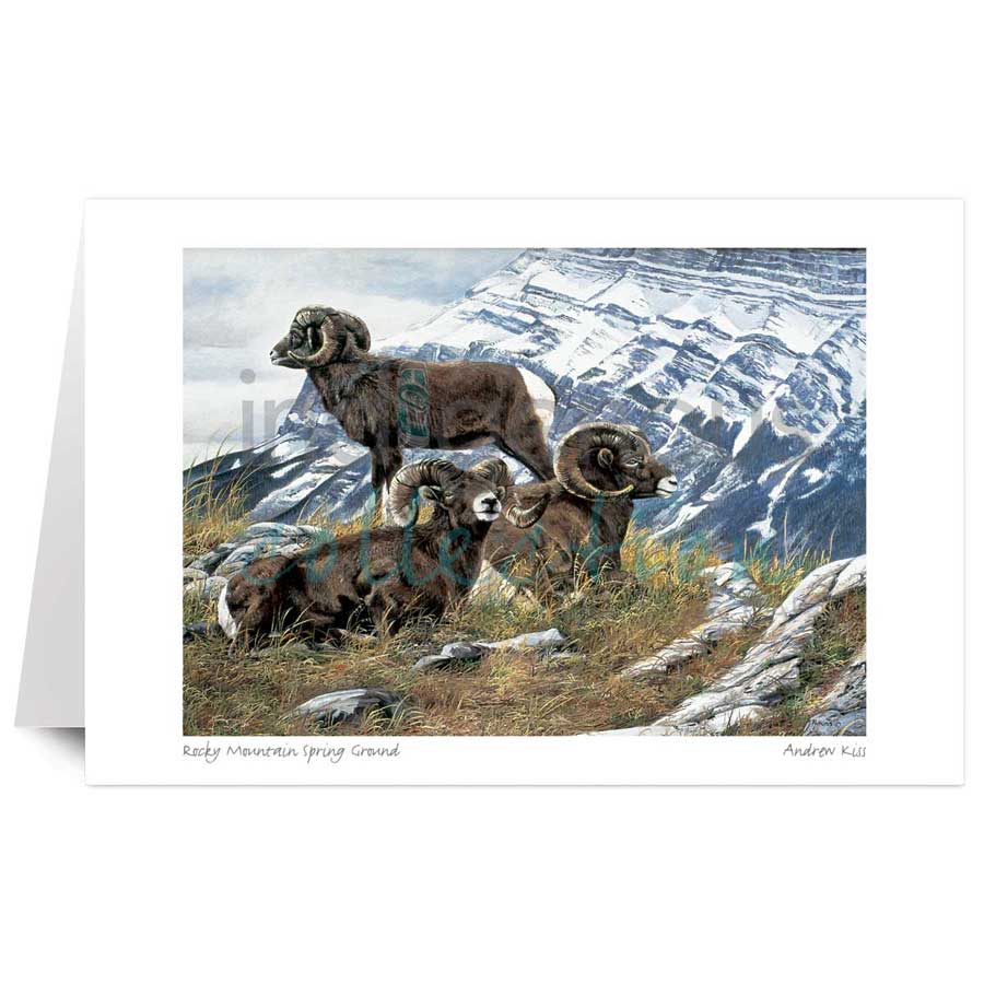 Rocky Montain Spring Ground by artist Andrew Kiss