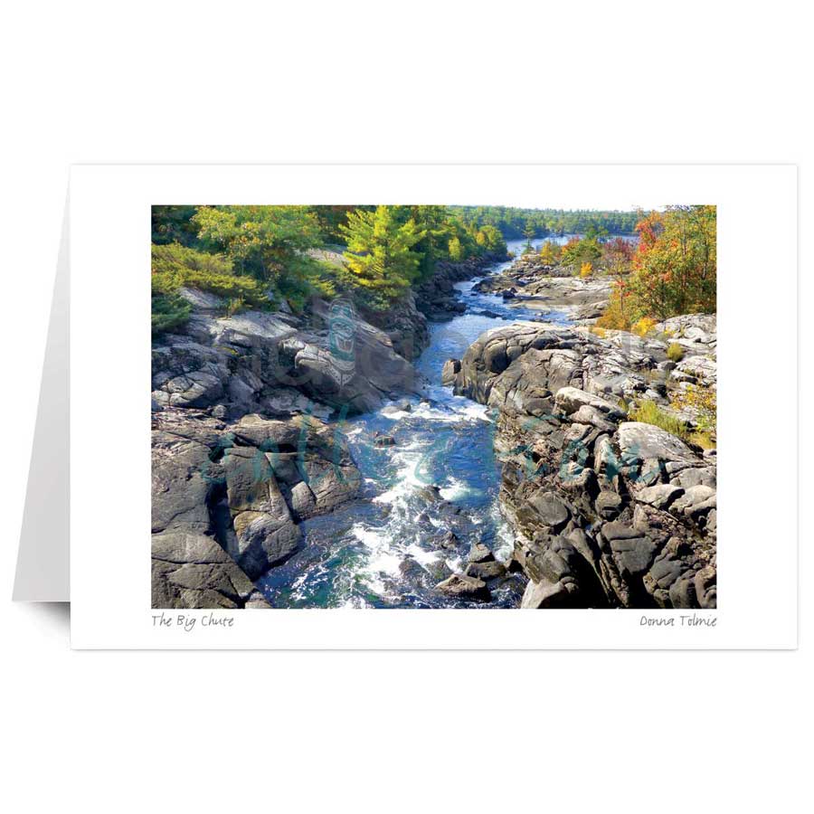 The Big Chute by artist Donna Tolmie