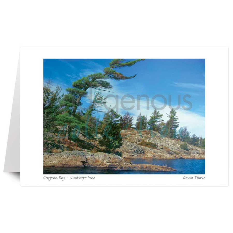 Georgian Bay - Windswept Pine by artist Donna Tolmie
