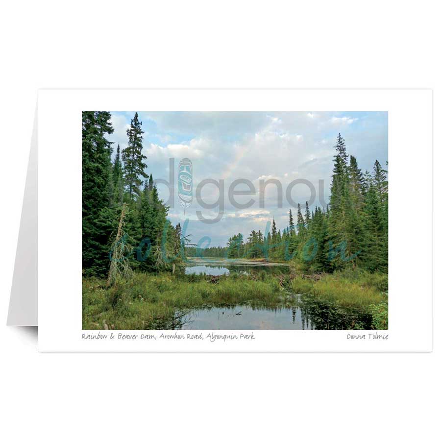 Rainbow/Beaver Dam, Arowhon Road, Algonquin Park¬† by artist Donna Tolmie