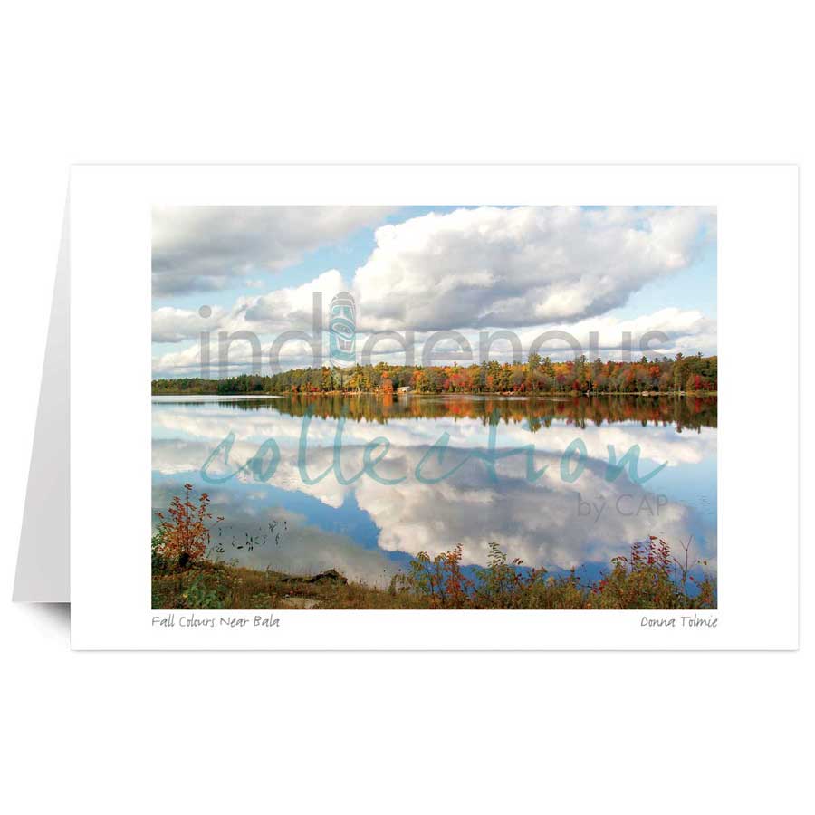 Fall Colours¬†Near Bala by artist Donna Tolmie