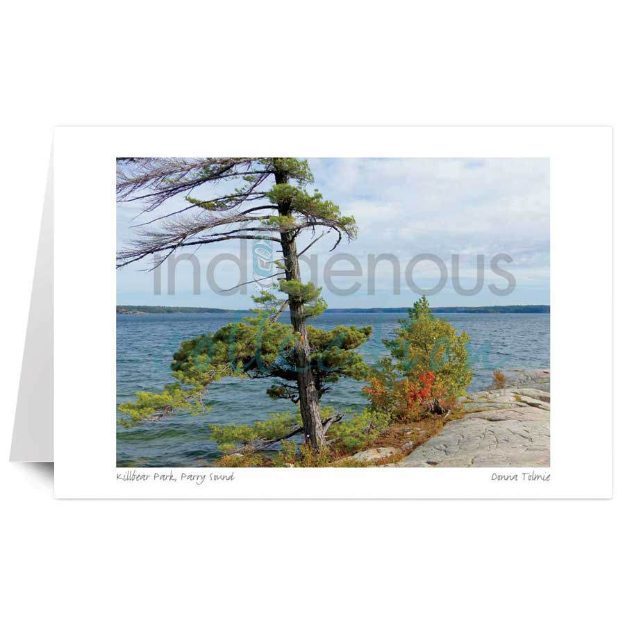 Killbear Park, Parry Sound by artist Donna Tolmie