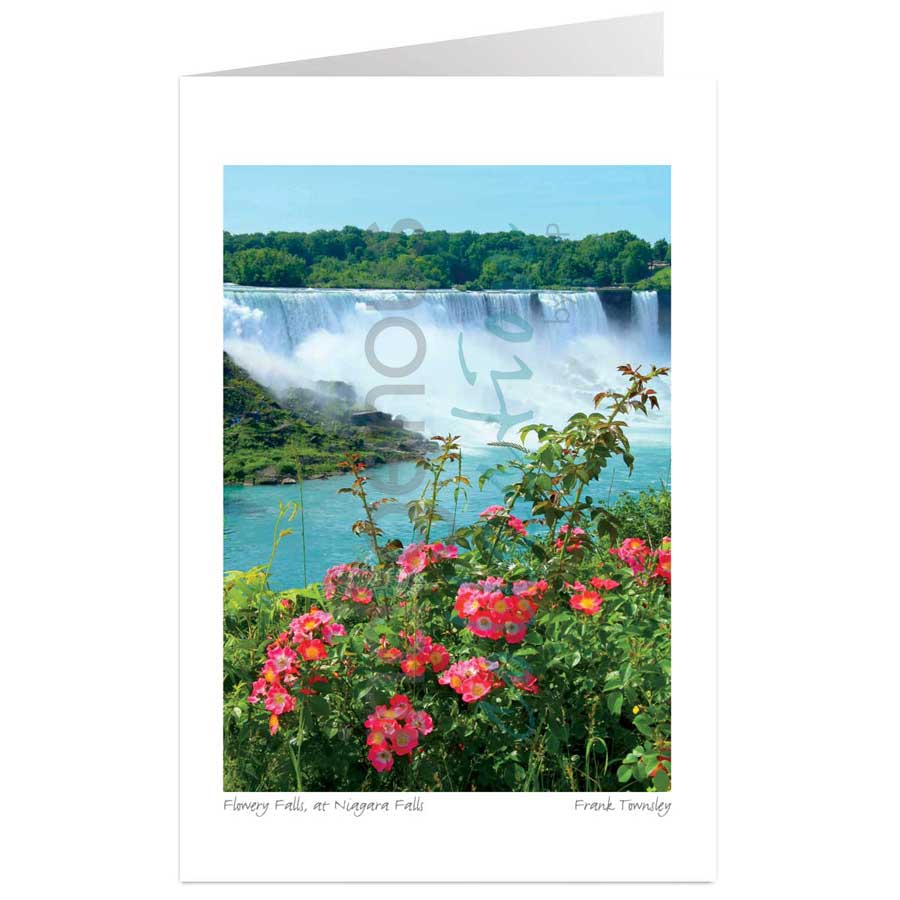 Flowery Falls, American Falls at Niagara Falls ,Ontario by artist Frank Townsley
