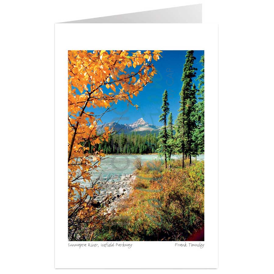 Sunwapta River, Icefield Parkway by artist Frank Townsley