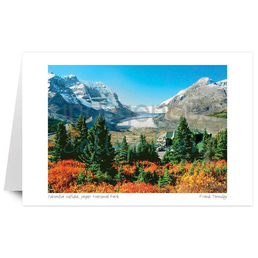 Columbia Icefield, Jasper National Park by artist Frank Townsley