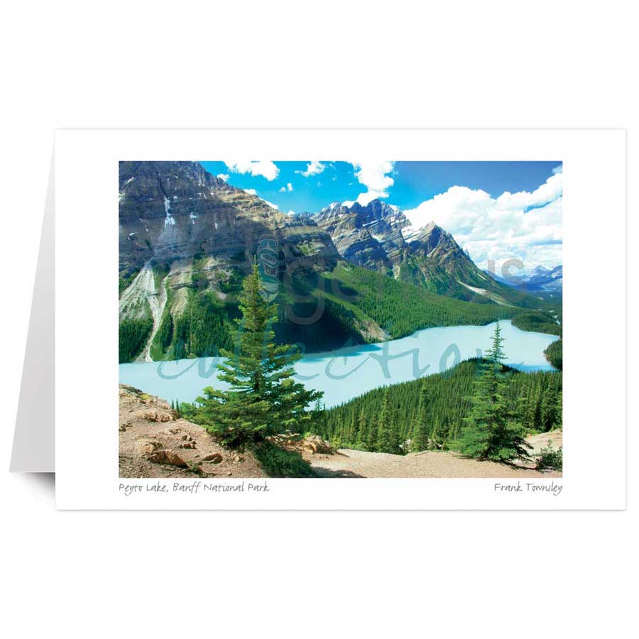 Peyto Lake, Banff National Park by artist Frank Townsley
