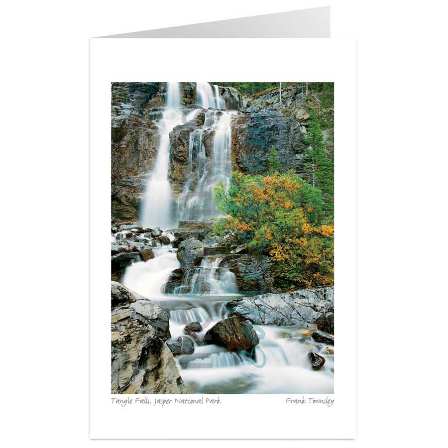 Tangle Falls, Jasper National Park by artist Frank Townsley