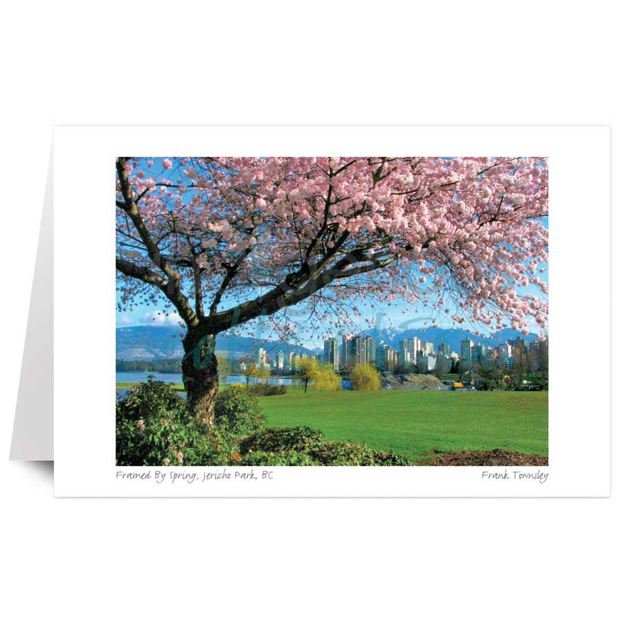 Framed By Spring, Jericho Park, BC by artist Frank Townsley