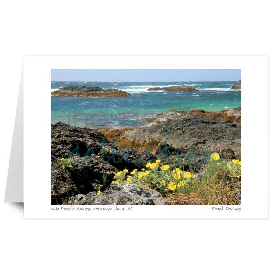 Wild Pacific Beauty, Vancouver Island, BC by artist Frank Townsley